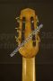 07_Busato_1959_head_back