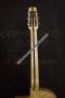 09_ModBertino_2019_maple_neck_back